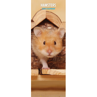 Magnet & Steel Hamster Kalender 2025 Slimline