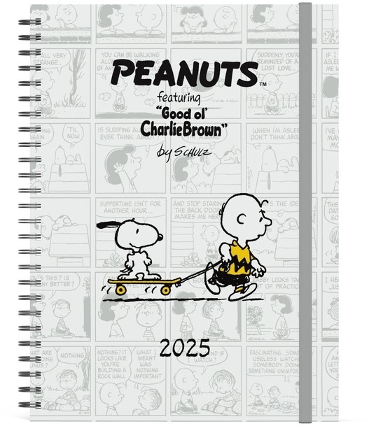 Buying Snoopy Peanuts Desk Diary 2025? Order easily online Kalenderwinkel.nl