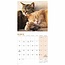 Katzen-Nickerchen Mini-Kalender 2025