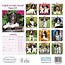 Mini-calendrier des chiots de l'épagneul de Springer anglais 2025