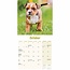 Calendario dei cuccioli di Staffordshire Bull Terrier 2025