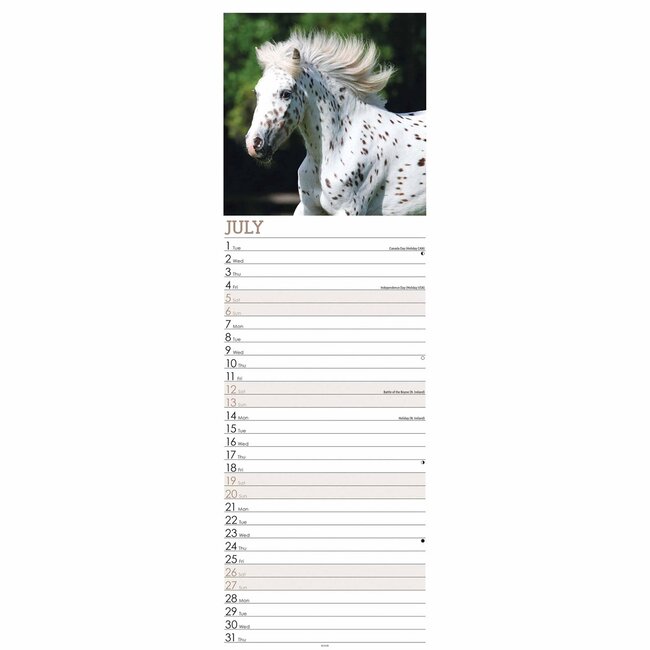 Paarden Kalender 2025 Slimline Kopen? Bestel eenvoudig online