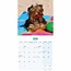 Yorkshire Terriers Cachorros Calendario 2025 Mini