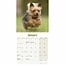 Yorkshire Terriers Cachorros Calendario 2025 Mini