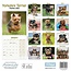 Yorkshire Terriers Cachorros Calendario 2025 Mini