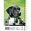 Labrador Retriever nero A5 Agenda 2025