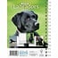 Labrador Retriever Zwart A5 Agenda 2025