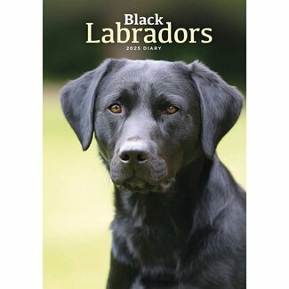 CarouselCalendars Labrador Retriever nero A5 Agenda 2025