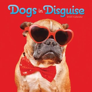 CarouselCalendars Dogs Disguise Calendar 2025