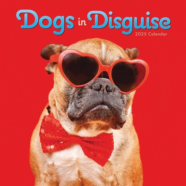 Calendario Cani Disguise 2025