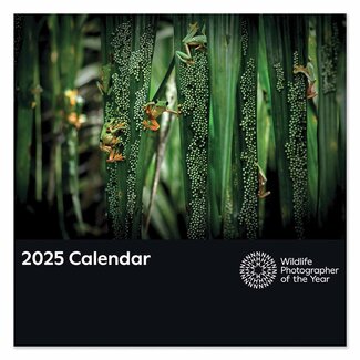 CarouselCalendars Wildlife Photographer of the Year Kalender 2025