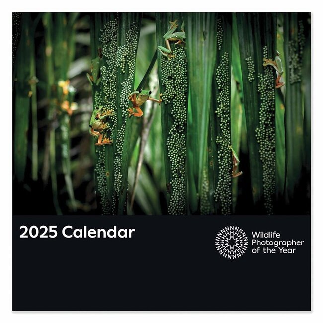 CarouselCalendars Fotógrafo de fauna salvaje del año Calendario 2025