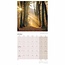 Scenic Woodland Kalender 2025