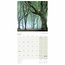 Scenic Woodland Calendar 2025