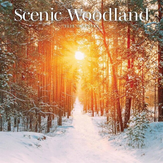 Scenic Woodland Kalender 2025