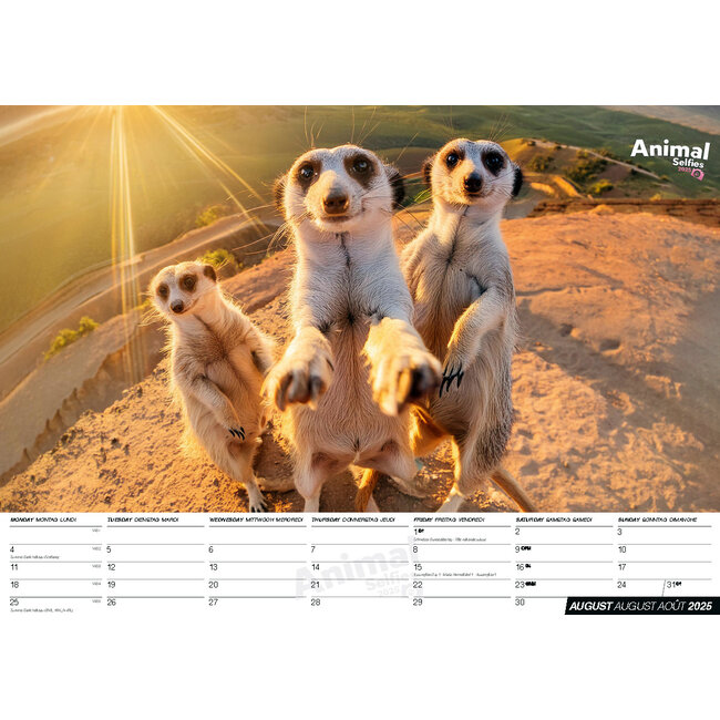 Acheter le calendrier Animals Selfies 2025 ? Commande facile et rapide