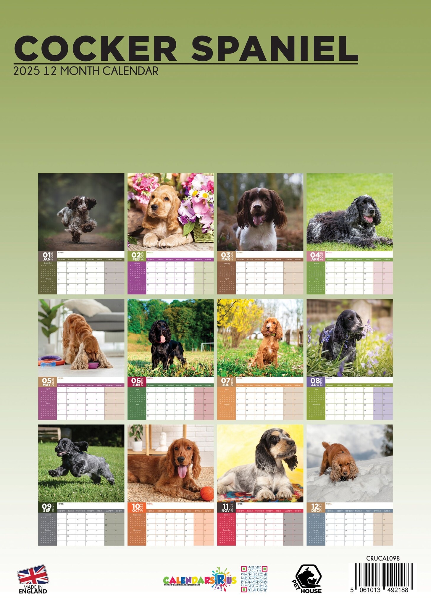 Buy English Cocker Spaniel A3 Calendar 2025? Order easily