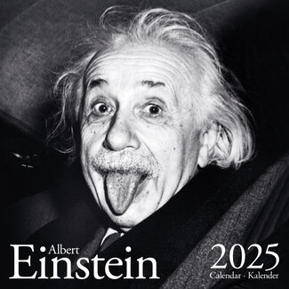 ML Publishing Calendario Einstein 2025