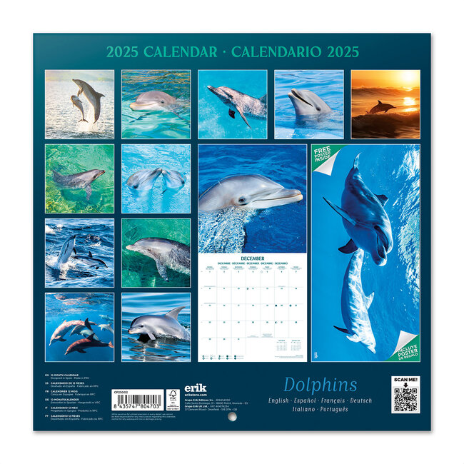 Buying Dolphin Calendar 2025 simply order online Kalenderwinkel.nl