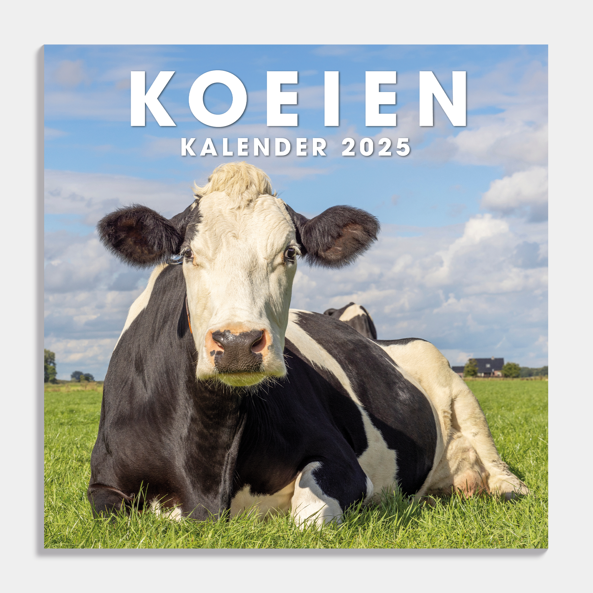 Koeien Kalender 2025