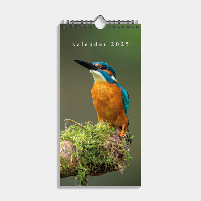 Mini-calendrier des oiseaux 2025