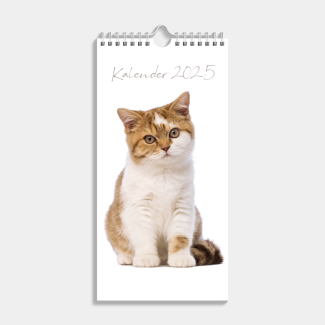 Mini Calendario Gatos 2025