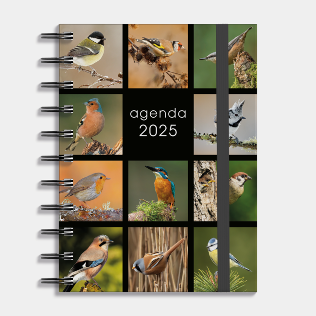 A6 Spiraal Agenda Vogels 2025