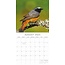 Calendario Aves 2025