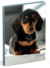 Honden Desk Agenda 2025