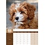 Cavoodle A3 Calendar 2025