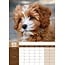 Cavoodle A3 Calendrier 2025