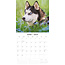 Huskies-Kalender 2025