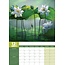 Tranquility Calendar 2025