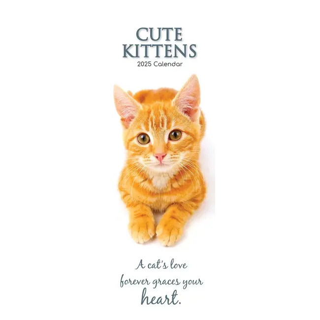 Calendario sottile Cute Kittens 2025