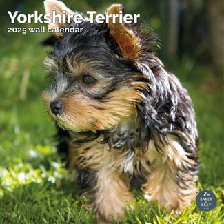 Baker & Bray Calendario Yorkshire Terrier 2025