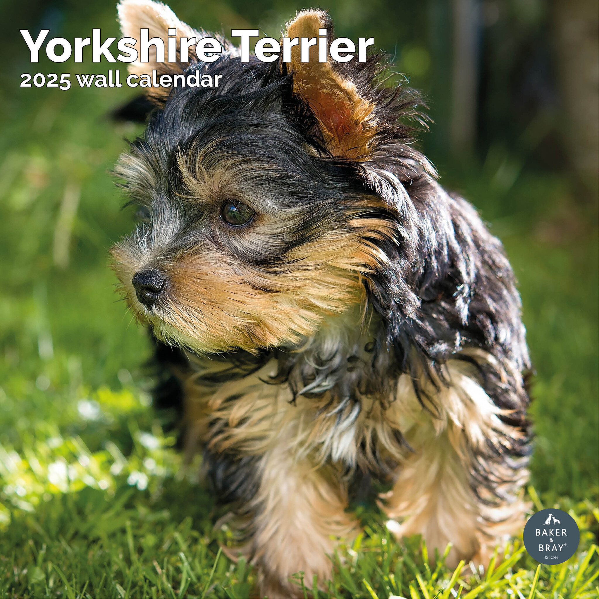 Yorkshire Terrier Kalender 2025 Kopen? Bestel eenvoudig en snel online