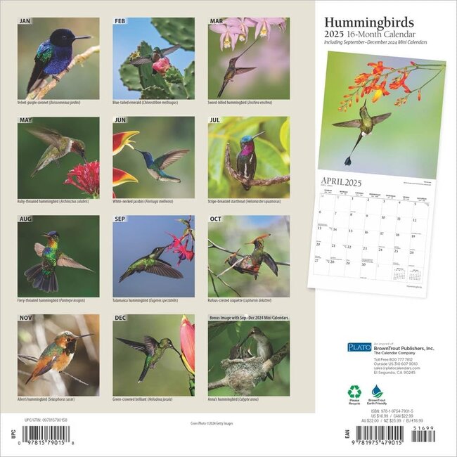 Buying Hummingbirds Calendar 2025 Order easily and quickly Online. Kalenderwinkel.nl
