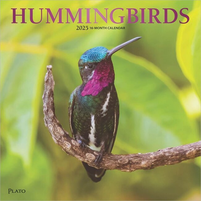 Buying Hummingbirds Calendar 2025 Order easily and quickly Online