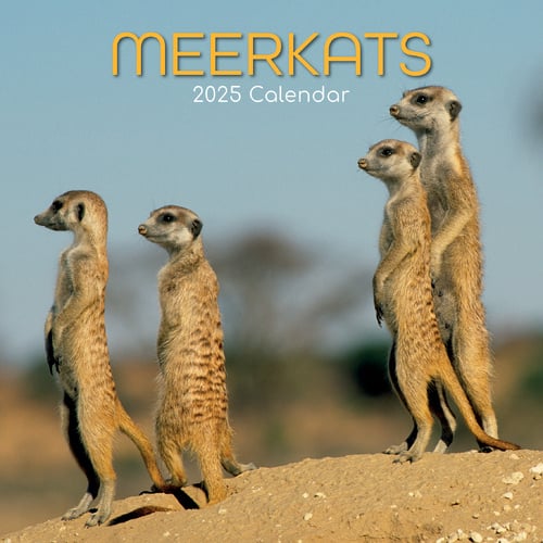 Stokstaartjes Kalender 2025