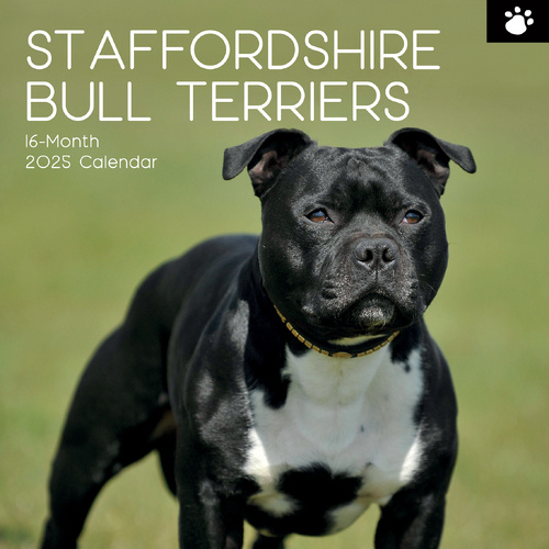 Staffordshire Bull Terrier Kalender 2025