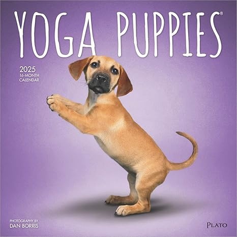 Yoga Puppies Kalender 2025