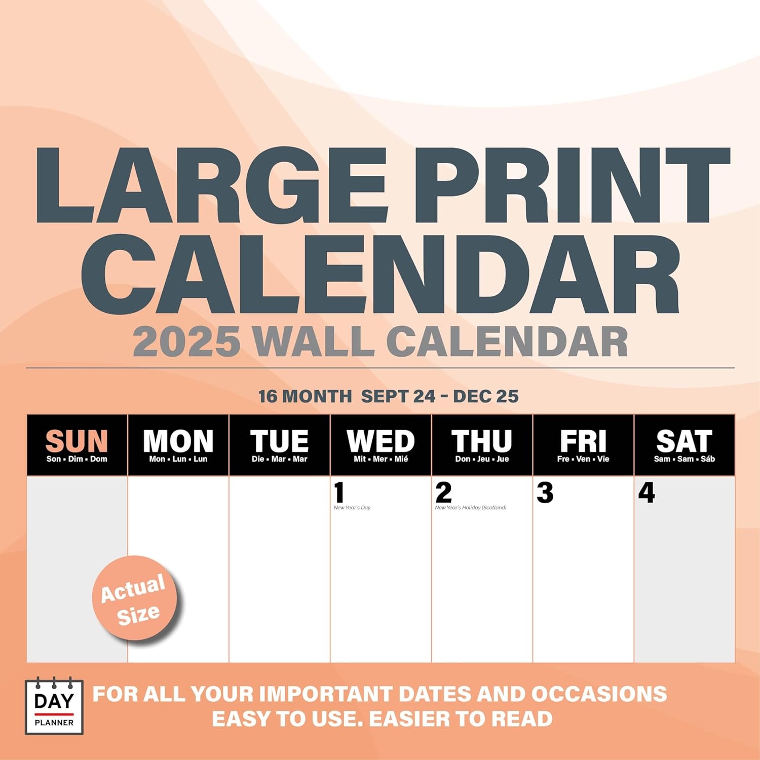Large Print Maandplanner 2025