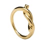 P D Paola Ring Noah