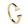 P D Paola Ring Double