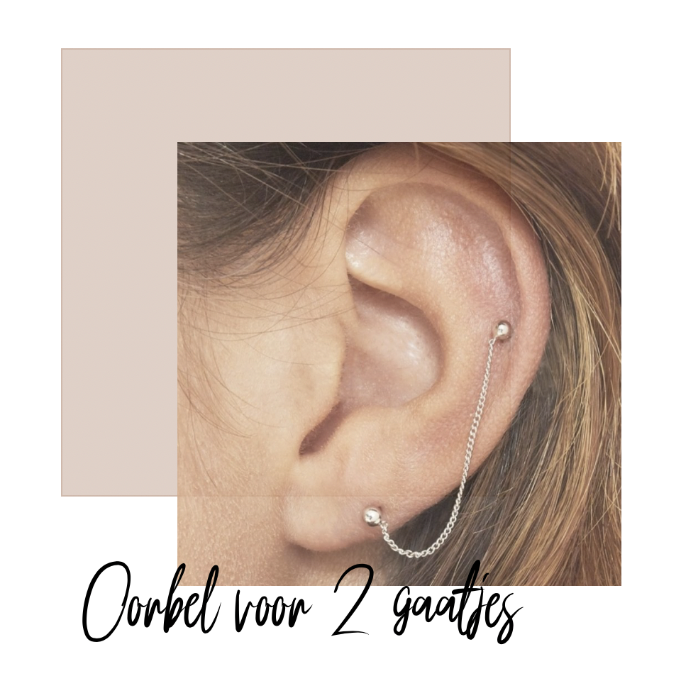 Welp Trend alert: Oorbellen voor 2 gaatjes - Fashion-Click LY-09