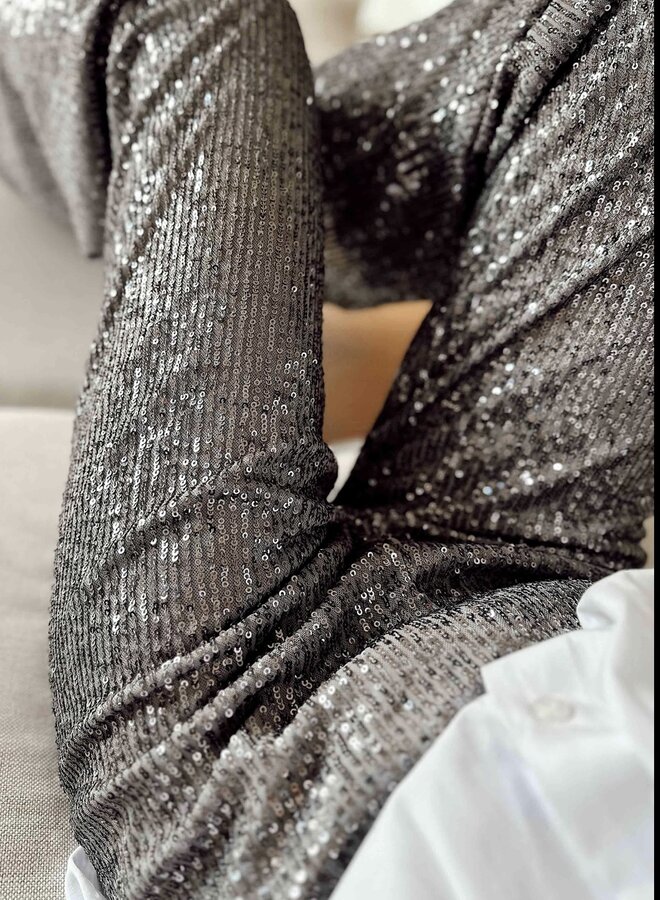 Broek My Favorite Sequin Pants Silver