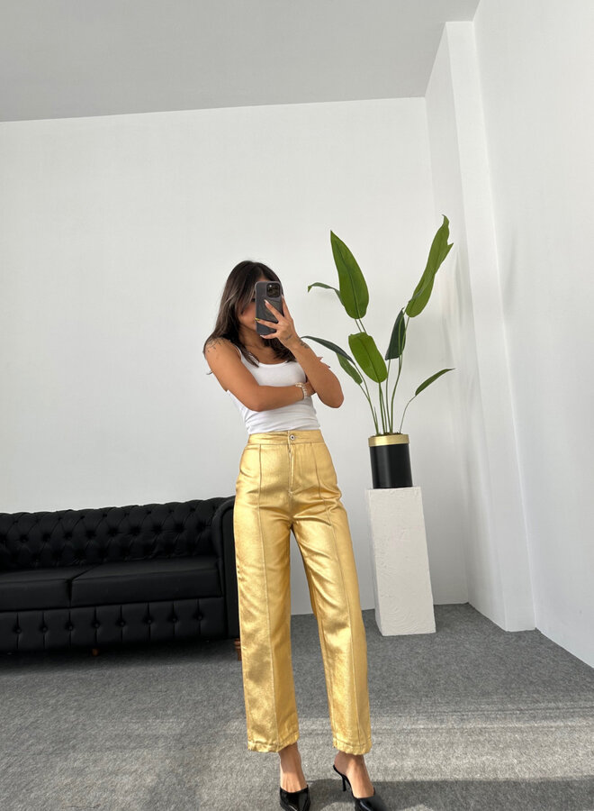 Broek My Perfect Golden Pants