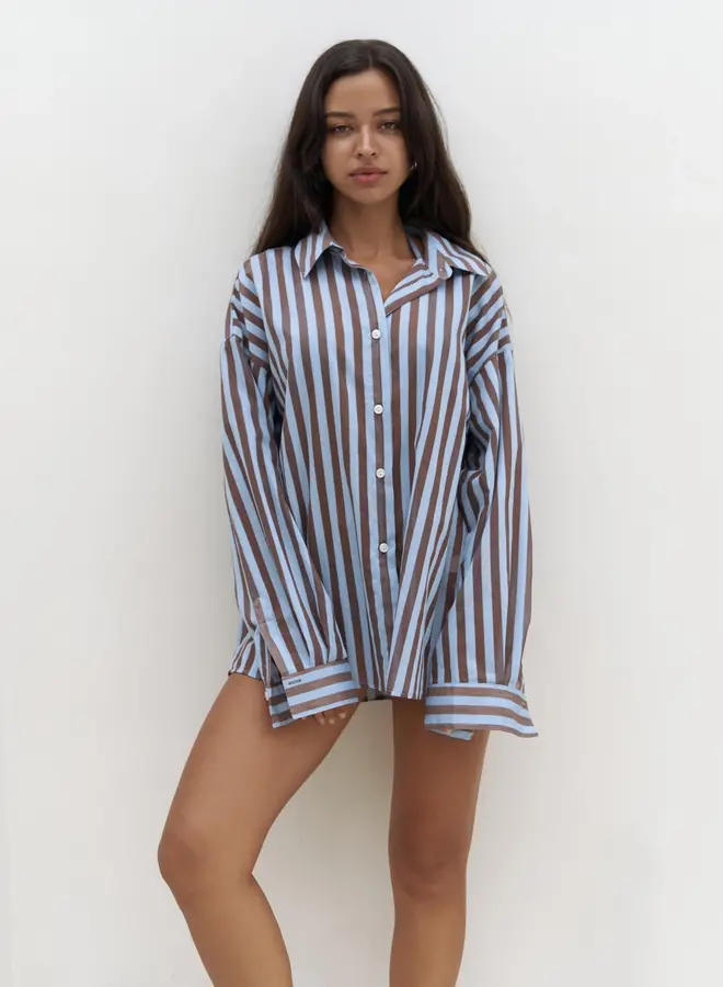 Blouse Oversized Stripes Blauw-Bruin