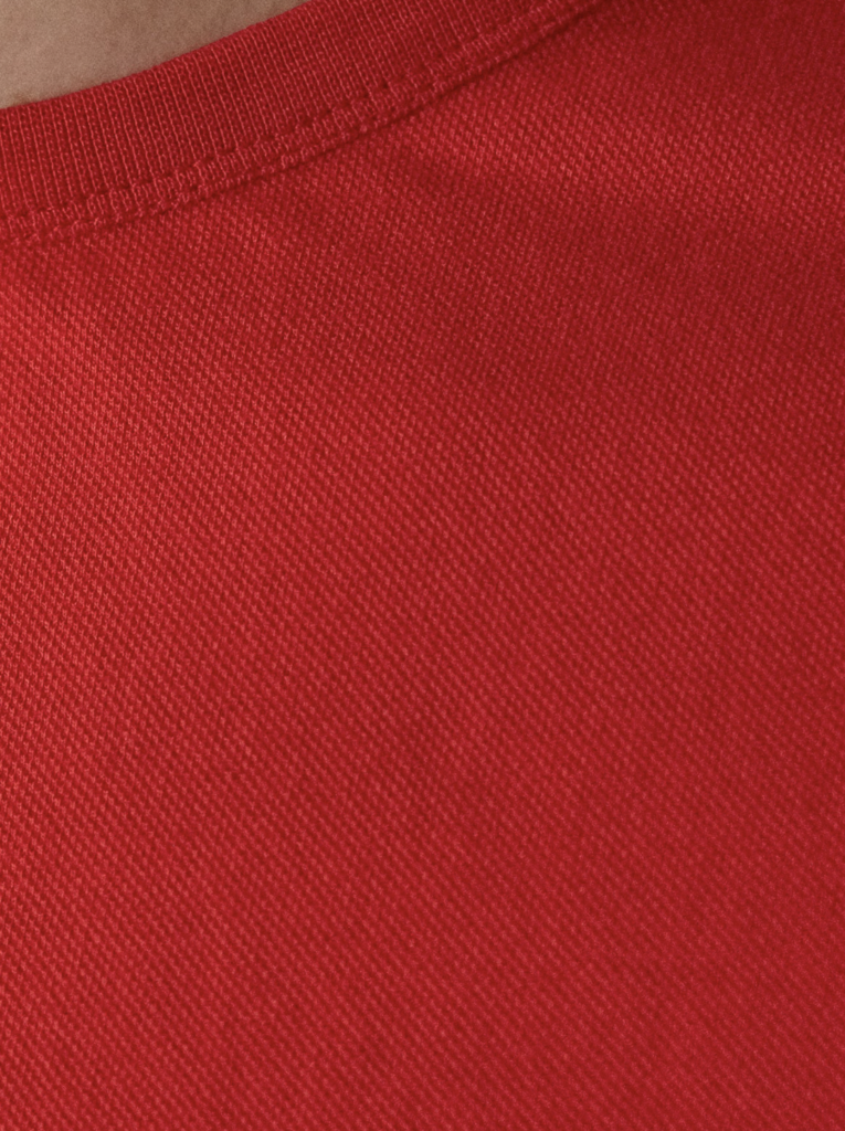 About Companions Liron T-Shirt Eco Red
