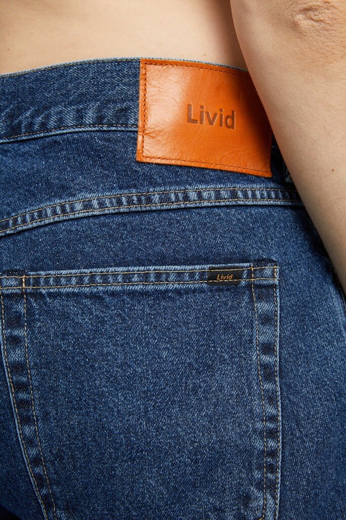 Livid Kai Japan Dawn